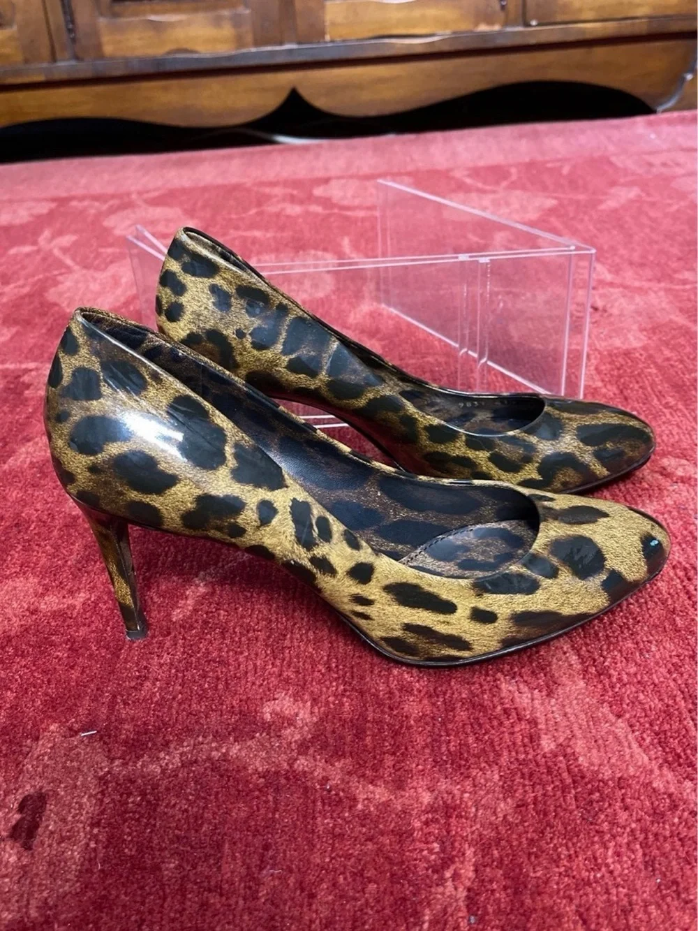 Dolce & Gabbana stylish leopard